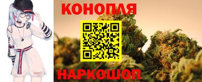 гидра Малгобек