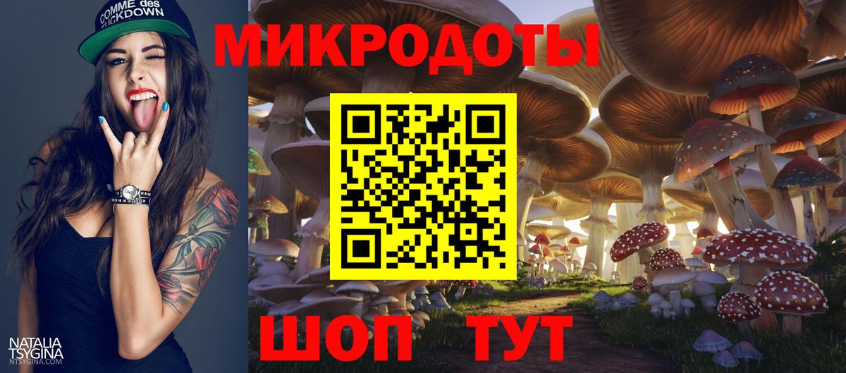 Дальнегорск  где продают наркотики  Вход с VPN  Галлюциногенные грибы прущие грибы 