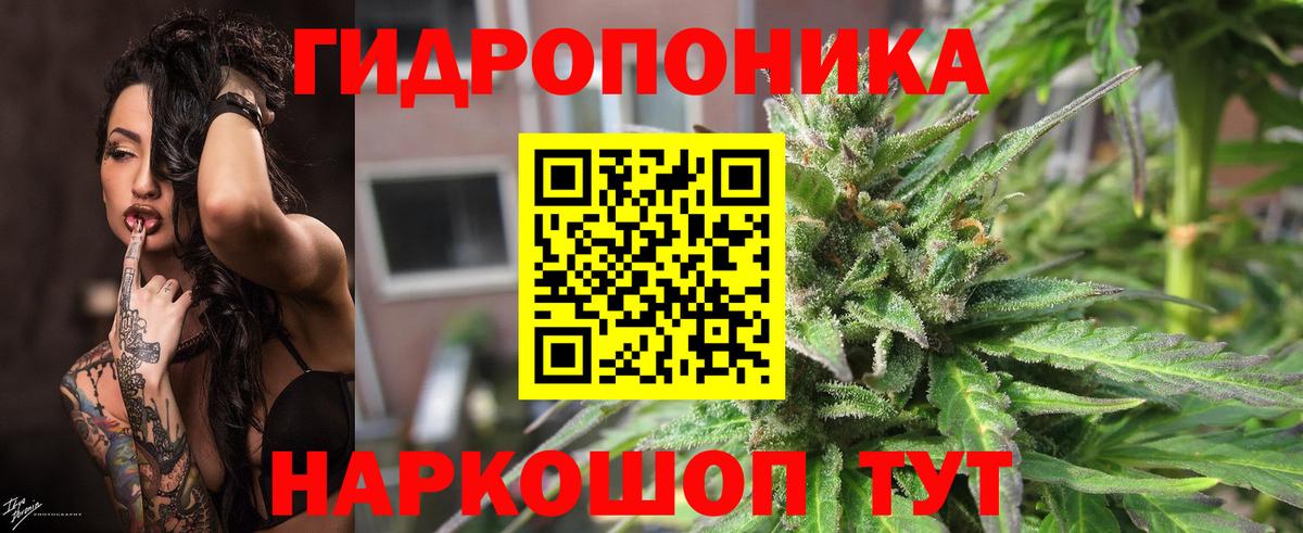 Каннабис ГИДРОПОН  Вход с VPN  Дальнегорск  Марихуана Amnesia  Шишки марихуана ГИДРОПОН 